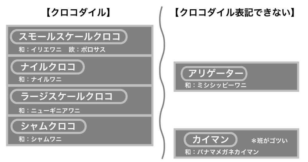 クロコダイル図解