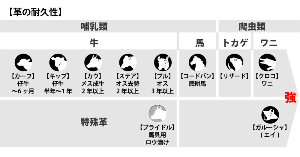 財布レザー強度スケール2